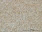 TNFSF14 Antibody (monoclonal) (M01)